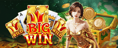 솔카지노만의 독보적인 보증 혜택 banner