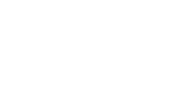 에볼루션 게이밍 logo